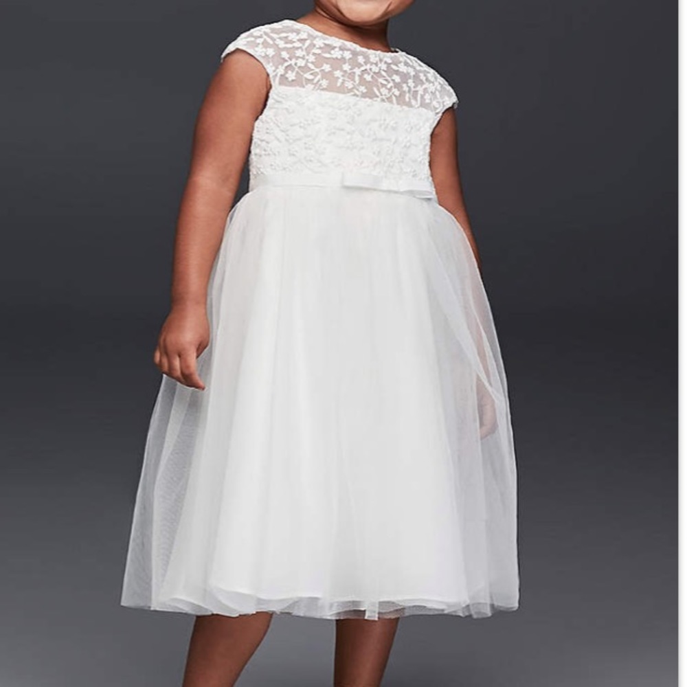 David’s Bridal Tulle flower girl dress